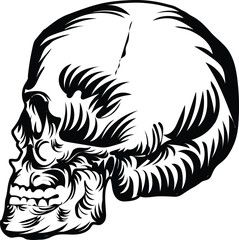 Vintage Human Skull monochrome concept Vector 