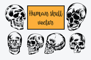 Vintage Human Skull monochrome concept Vector 