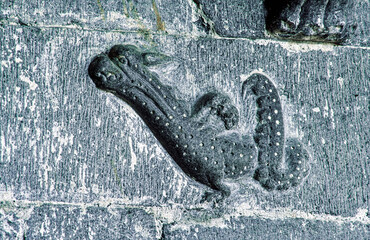 Dragon shaped stone phallus on 15th C. chancel arch inside Clonfert Cathedral, County Galway, Ireland. Founded by Saint Brendan