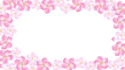 水彩の桜の花の華やかなフレーム　横長