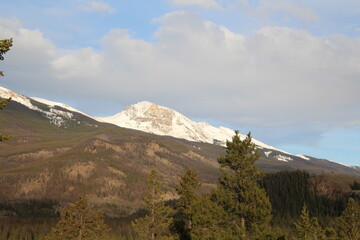 Spring Snow On The Mountain, Jasper National Park, Alberta