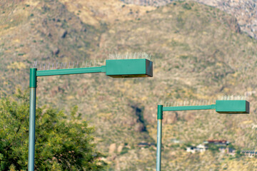 Green street lamps with bird spikes on top with moutainous background and visible tree in afternoon sun