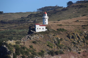 Fototapeta na wymiar Taiaroa Head Lighthouse at the entrance to Otago Harbour on the South Island of New Zealand.