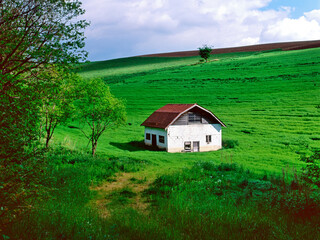 牧場風景(美瑛町）
