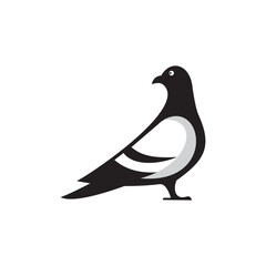 Pigeon bird logo design