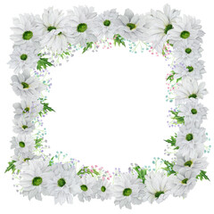 Hand-drawn watercolor square frame with white chrysanthemum with colored gypsophila
