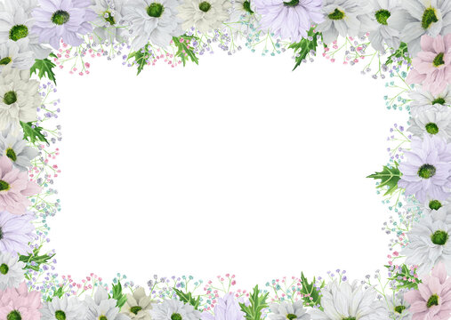 Hand-drawn watercolor rectangular frame with pale pink and lilac chrysanthemum with colored gypsophila