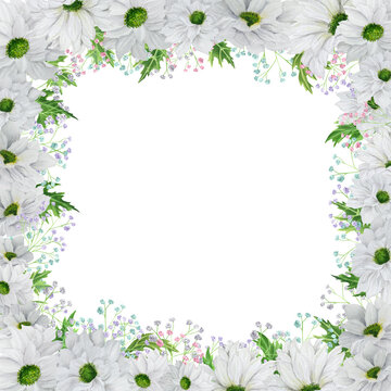 Hand-drawn watercolor square frame with white chrysanthemum with colored gypsophila