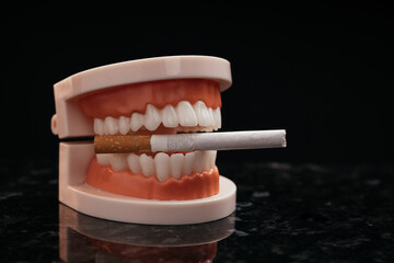 Model of jaw and cigarette. Сaries prevention and check-up concept