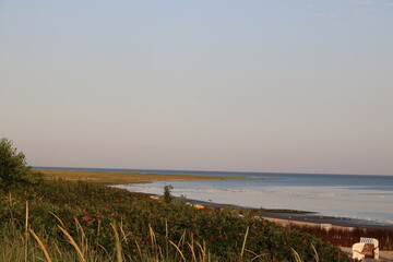Blick über die Nordsee und die grüne Düne von Cuxhaven mit Möwen