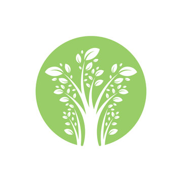 Tree leaf vector logo design