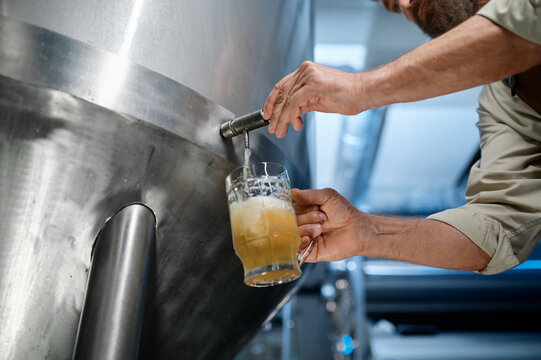 Closeup busy brewery engineer pouring beer to test quality
