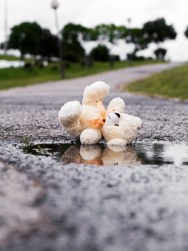Lost teddy bear by a puddle