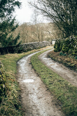 Obraz premium A quiet farm path in the English countryside