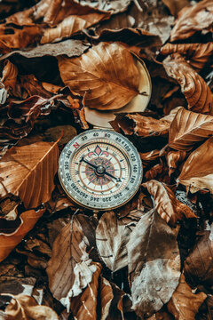 Ancient golden compass among the dry leaves of the forest in autumn
