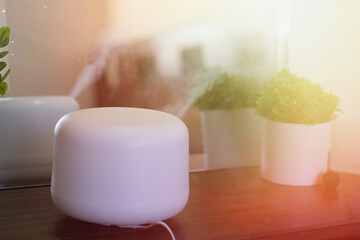 electric humidifier releasing steam with fragrance at home aromatherapy