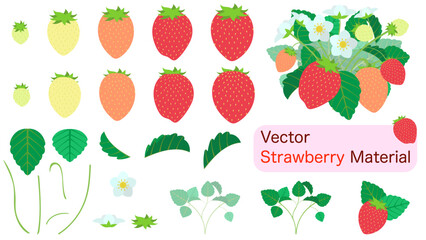 イチゴの果実や花、茎の素材セット。フラットなベクターイラスト。