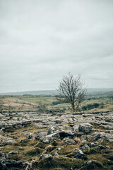 The famous limestone formation at Malham Cove in Yorkshire