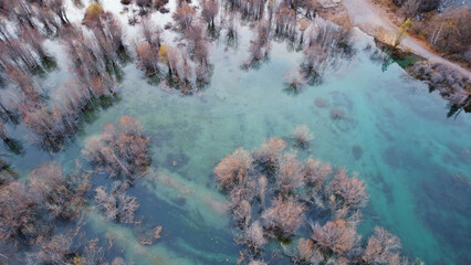 Turquoise blue mirror water with trees in the lake. Light streaks from underwater streams are visible. Autumn mountains and coniferous trees are reflected in the water. Issyk Mountain Lake, Kazakhstan