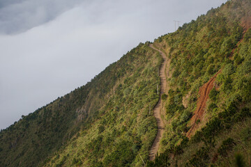 Beautiful view from the top of the mountain, cloud hunting in Ta Xua, Son La, Vietnam