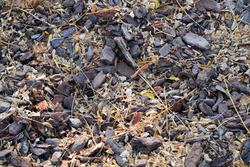 Stones and dry fallen leaves as background
