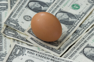 The rise in price of eggs. A one dollar bills lies with freshly laid chicken eggs close-up, top...