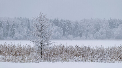 lake shore view in winter, beach under snow cover, foggy and grainy  background