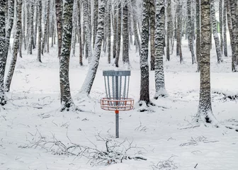  disc golf cart in birch grove, snow blanket covers tree and shrub branches, foggy and grainy  background © ANDA