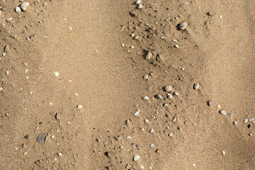 texture of a sandy beach with small pebbles. sand background