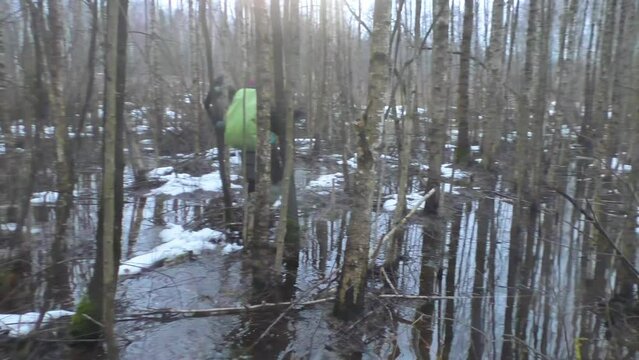 Action POV process. Travelers walking in the swamp forest at sunset in warm winter 