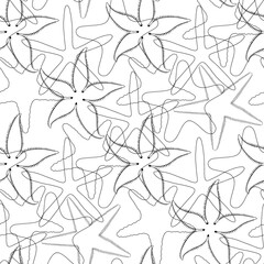 Starfish. Seamless vector pattern on white. Line art. Perfect for wallpaper, wrapping, fabric and textile. Black and white. - 568349296