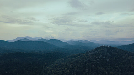 Aerial view of mist and fog hanging over a lush tropical rainforest in the morning.