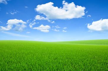 Landscape view of green grass field with blue sky and clouds background.