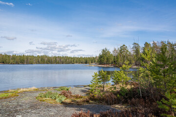 Fototapeta na wymiar View of Lake Meiko area in spring, rocks, pine trees and lake, Kirkkonummi, Finland