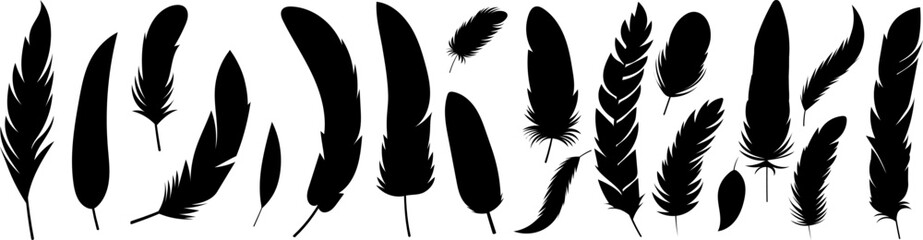 collection of bird feathers silhouette ,design isolated, vector