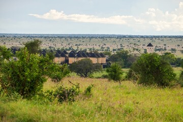 Fototapeta na wymiar Scenic view of Sarova Salt Lick in Tsavo National Park, Kenya