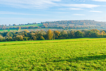 Lullingstone Country Park in autumn colours, Kent, UK