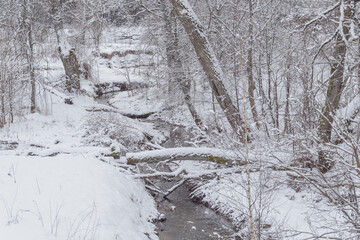 Small river flowing through forest, wintertime in Europe.