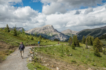 Hikers walking on a trail during summer in sunshine meadows area in Banff National Park, British Columbia, Canada