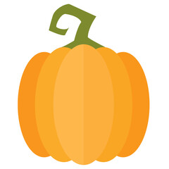 Thanksgiving Pumpkin