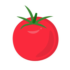 Tomato illustration