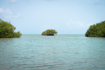 Paradise Found: Exploring the Natural Beauty of Saona Island