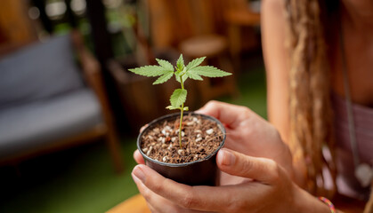 Hippie style woman growing medical marijuana bush