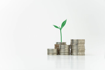 Plant growing on stack of coins, money saving concept, financial and business growth concept, white background, copy space.