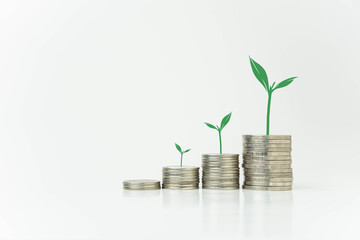 Plant growing on stack of coins, money saving concept, financial and business growth concept, white background, copy space.