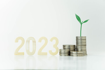 Plant growing on stack of coins, money saving concept, financial and business growth concept, white background, copy space.