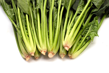 Fresh spinach on white background