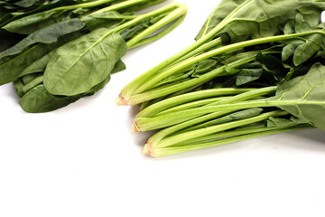 Fresh spinach on white background