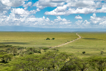 Weites Land Serengeti