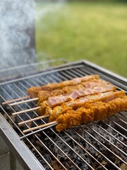 shish kebab on the grill